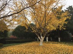 -昆山城市公园
