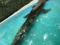 -广州长隆飞鸟乐园