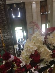 -禾丽康美医疗美容医院