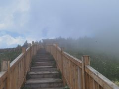 -白草畔自然风景区