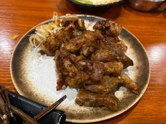 -大阪烧肉BAKA一代(十亩地店)