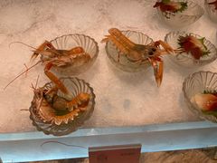-半岛翡丽海鲜自助餐厅(观风亭店)