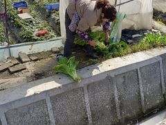 -小鱼草莓采摘园农家乐·小鱼餐厅
