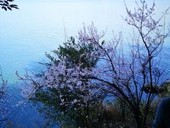 -南诏风情岛