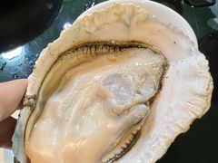 阳江炊蚝-大富蚝乌东哥饭店·石锅鱼杂·柠檬鸭(革新路店)