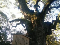-热田神宫