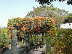 -广州神农草堂中医药博物馆