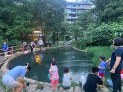 -成都市活水公园