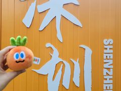 -大湾区中央湿地公园-十九涌