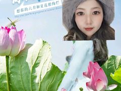 -陈家山荷花公园