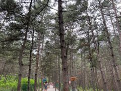 -帽儿山国家森林公园