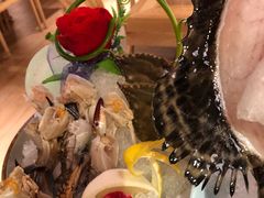 -尚海豆捞(乐虹坊店)