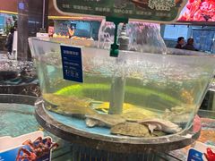 -百姓渔村(南中环店)