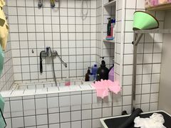 -瑞派宠物医院·CT影像中心·猫友好医院(奥城店)