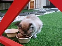 -白兔子密室(长寿路店)