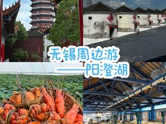 -莲花岛景区