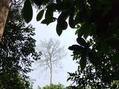 -中国科学院西双版纳热带植物园