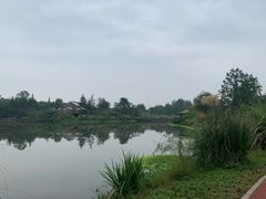 -桤木河湿地公园