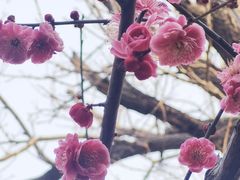 -包公祠