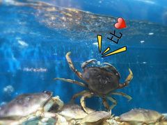-福泉海码头(六里山店)