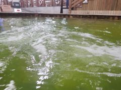 -南宫温泉水世界