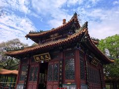 -高尔山公园