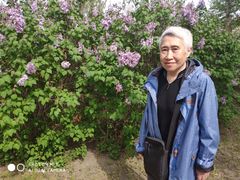 -群力丁香公园