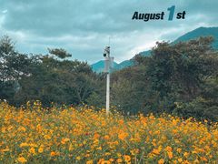 -广州市流溪河国家森林公园