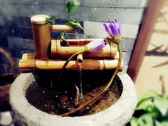 -小茶闲舍·观景商务茶馆(广州塔店)