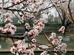 -安定门(地铁站)