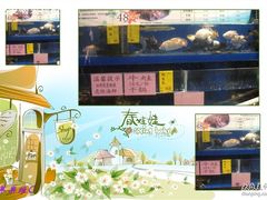 -神洲四海大酒楼(王府井澳门中心店)