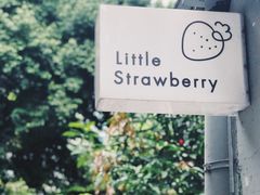 -小草莓·Little Strawberry