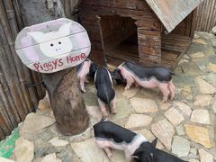 -HERRE·FARM 赫尔露营农场·团建聚会包场