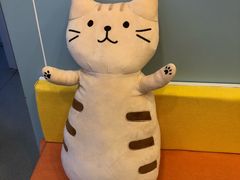 -纳吉亚猫专科动物医院·北北分院