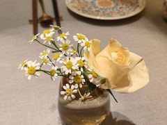 -觅唐MITONG(鸟巢店)