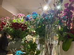 -宋宴(虎跑店)