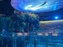 -陕西自然博物馆