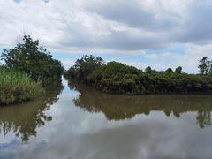 -大湾区中央湿地公园