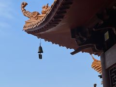 -深圳仙湖植物园
