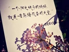 -壹点壹客·生日蛋糕(南山店)
