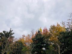 -花溪公园