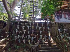 -海南槟榔谷黎苗文化旅游区
