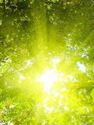 -变画·发型STUDIO