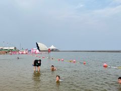 -碧海金沙