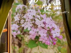 -陕西省西安植物园