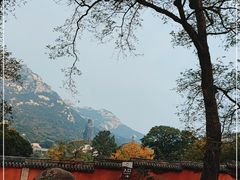 -青岛崂山太清宫