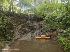 -上海佘山国家森林公园天马山园