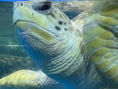 -青岛海底世界-水族馆
