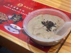 -海丝金凤(金鱼店)