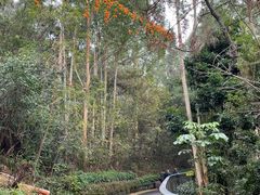 -仙岳公园